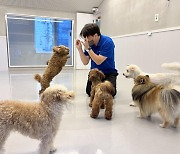 서초구, 설 연휴기간 반려견 돌봄쉼터 운영