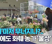 '장미'마저 무너지나?..대목에도 화훼 농가 '울상'