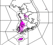 기상청, 제주도·충청·전라권에 대설특보 발효…시간당 1~4cm