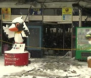 충남 서천 수산물특화시장 큰불...점포 227곳 불타