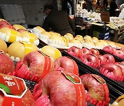 설 차례상 비용 지난해와 비슷…전통시장이 대형유통업체보다 18.7% 저렴