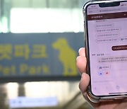 24시간 상담해주는 '김포공항 챗봇' 등장