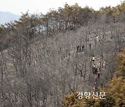 [여적] 거꾸로 가는 ‘산림청 숲 가꾸기’