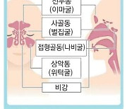 감기·독감후 콧물·코막힘 겨울철 '부비동염 주의보'