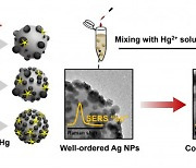 건국대 전봉현 교수팀, 복합 나노소재 활용해 1분 내 수은 검출하는 시스템 개발