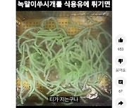 '녹말이쑤시개 튀김' 영상 유행... 식약처 "안정성 검증된바 없다"