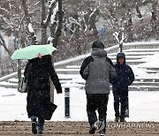 눈 내린 출근길