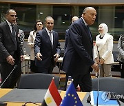 Belgium EU Egypt