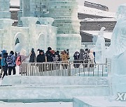 CHINA-HEILONGJIANG-HARBIN-ICE SCULPTURE-TERRACOTTA WARRIORS (CN)