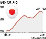 연초부터 뜨거운 AI랠리…장밋빛 전망 언제까지?