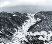 [화보]'겨울 왕국' 된 울릉도