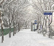 [날씨] 사흘째 북극 한파, 낮 체감 -10℃...호남·제주 대설