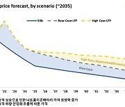 양 많고 값싼 나트륨이온배터리 온다...2035년 19兆 규모