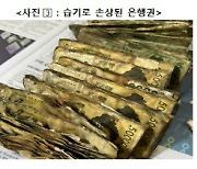 지난해 손상 화폐 폐기 4조원…전년 대비 17%↑