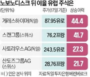 "제2 노보노디스크로 점찍었다"…'비만약 랠리' 뒤이을 제약株는?