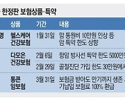 지금 안들면 손해?… 쏟아지는 한정판 보험