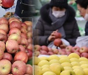 설 차례상 비용 줄었다는데…소비자 체감 물가는 달라