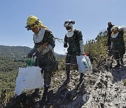 COLOMBIA FIRES