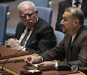 Israel Palestinians UN Security Council