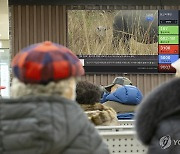 KT, 경로당 어르신 위한 '지니 TV 버스정보 알리미' 출시