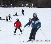 스키·스노보드 사고 5년새 1천234건…'안전주의보'