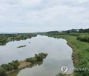 '청주의 젖줄' 미호강 수질 2등급…"강수량 증가 영향"