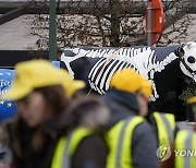 Belgium France Farmers Protest