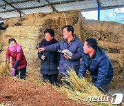 노동신문, 올해 농사에도 만전…"농사 준비 깐지게"