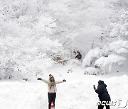 폭설 갇혔던 한라산 설경 환상