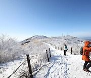 하얗게 변한 무등산