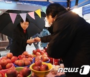 "알밤·과일 10% 이상 할인"…송파 '농산물 직거래 장터' 개최