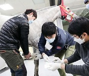 [경마]말 복지 확대하는 한국마사회, 동물보호와 생명존중 가치 구현