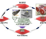 부산대 연구팀 “나노 신소재 ‘맥신’ 근육 재생 효과 있다”