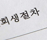 개인 회생 서류 제출 간소화…채무자회생법 등 개정안 본회의 통과