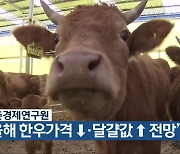 농촌경제연구원 “올해 한우가격↓·달걀값↑ 전망”