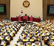 재판 중 해외 도피하면 공소시효 정지…형사소송법 개정안, 본회의 통과