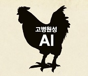 [속보] 보름 만에 또?…무안 종오리농장서 H5형 AI 항원 검출