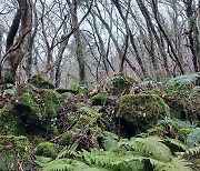 2박 3일 여행 내내 비오는 제주, 그래도 좋았던 이유