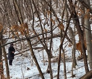 드론이 큰일 했네...잃어버린 송아지 찾아 주인 품으로