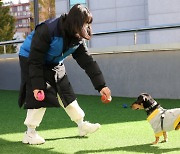 中노인, 연락 없는 자녀 대신 반려동물에 37억원 상속