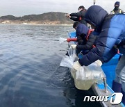 부산시 수산자원연구소, 어린 대구 200만 마리 가덕도 해역 방류