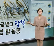 "수익 20% 보장! "푸른 꽃게 투자하라더니... 4억 들고 날랐다 [띵동 이슈배달]