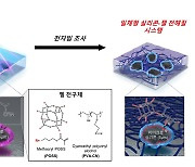 1회 충전으로 1000㎞…차세대 전기차 배터리 개발