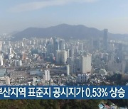 올해 부산지역 표준지 공시지가 0.53% 상승