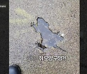 [오늘의 영상] 쥐 보러 왔다고요? 쥐 떼 때문에 골치였던 시카고의 반전!