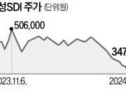 테슬라 실적 부진에…바닥 뚫린 2차전지株