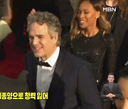 [인터넷와글와글] '헐크' 마크 러팔로, 청력 잃어