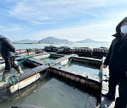 충남 서해 연안 및 내만 ‘저수온 경보’ 발령