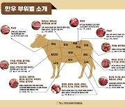 '일두백미' 한우, 단백질 가장 많은 부위는 ○○