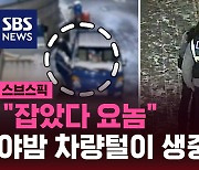 [스브스픽] "잡았다 요놈"…야밤 차량털이 생중계